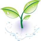 Little Sprouts Child Care